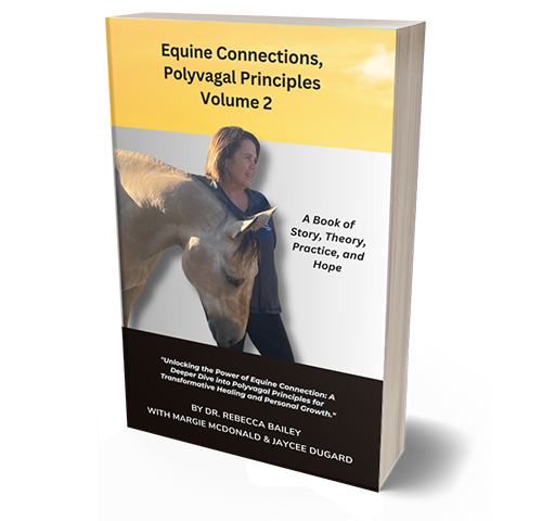Equine Connections, Polyvagal Principles (Volume 2): A Book of Story, Theory, Practice, and Hope [Paperback]