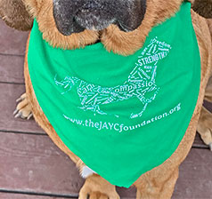 The JAYC Foundation Dog Bandana