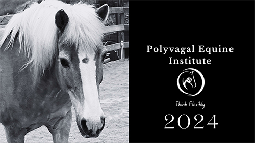 The Polyvagal Equine Institute 2024 Calendar