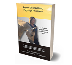 Equine Connections, Polyvagal Principles: A Book of Story, Theory, Practice, and Hope [Paperback]