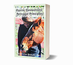 Equine Connections: Polyvagal Principles [Paperback]