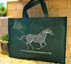 The JAYC Foundation Bag