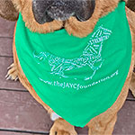 The JAYC Foundation Dog Bandana